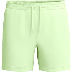 Speedo Шорты для плавания Essentials 16'' Swim Shorts Light Green