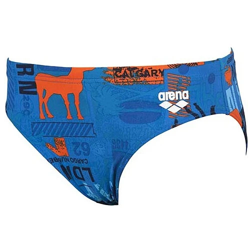 Arena Плавки Passport Junior