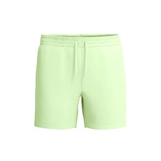 Speedo Шорты для плавания Essentials 16'' Swim Shorts Light Green